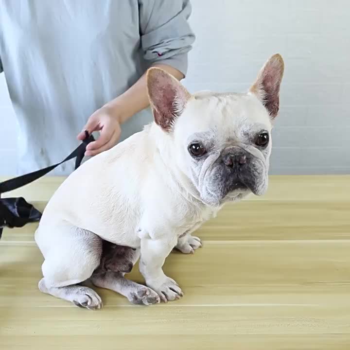 Anti-Slip Dog Boots
