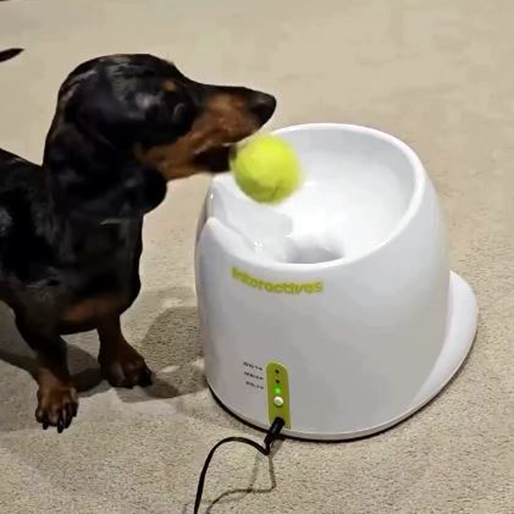 Automatic Tennis Ball Launcher