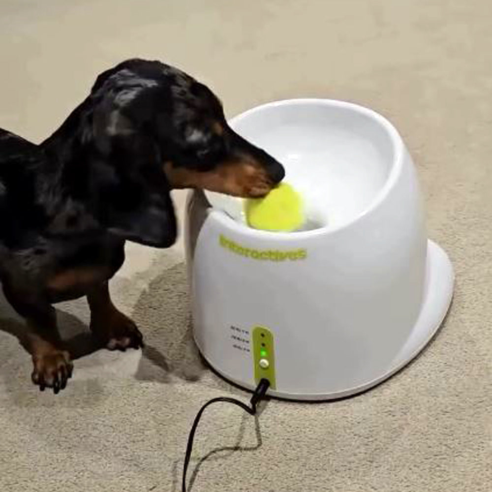 Automatic Tennis Ball Launcher