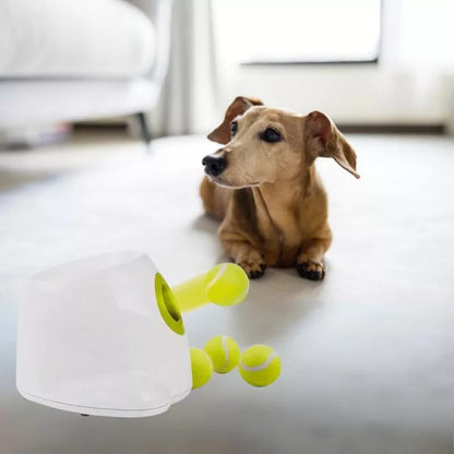 Automatic Tennis Ball Launcher